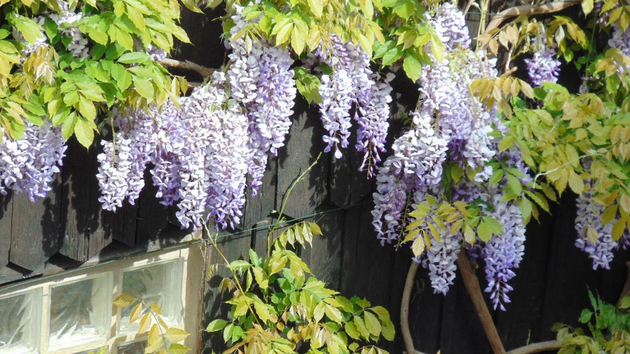 Appartamento Le Du Moulin *